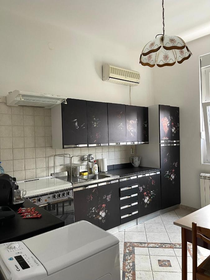 Apartamento Apartman Alba Belgrado Exterior foto